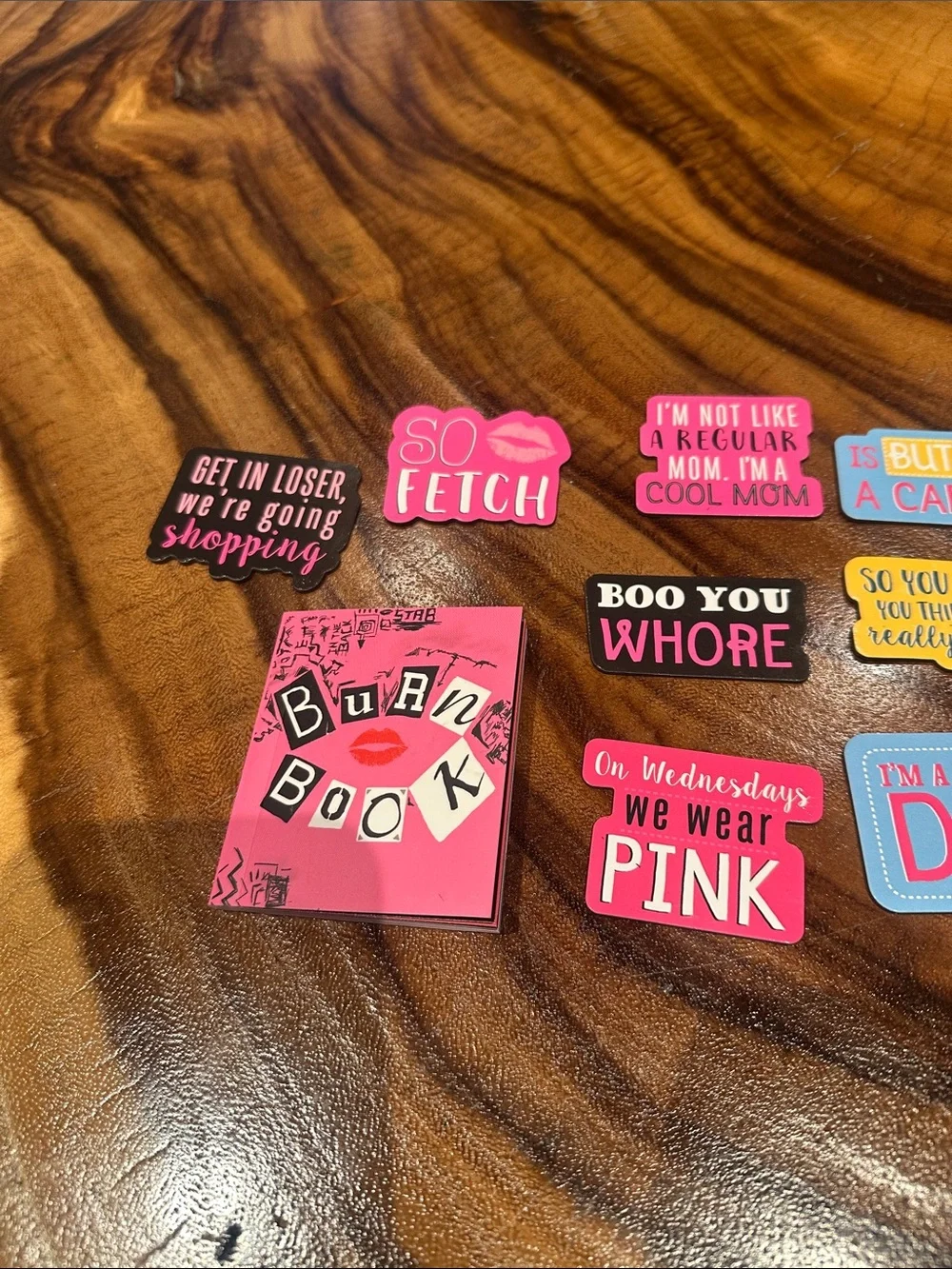 Mean Girls Magnets - Includes Mini Burn Book